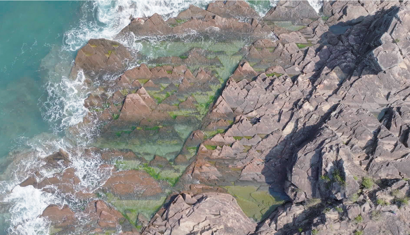 萤幕截图 2026-03-03 上午11.37